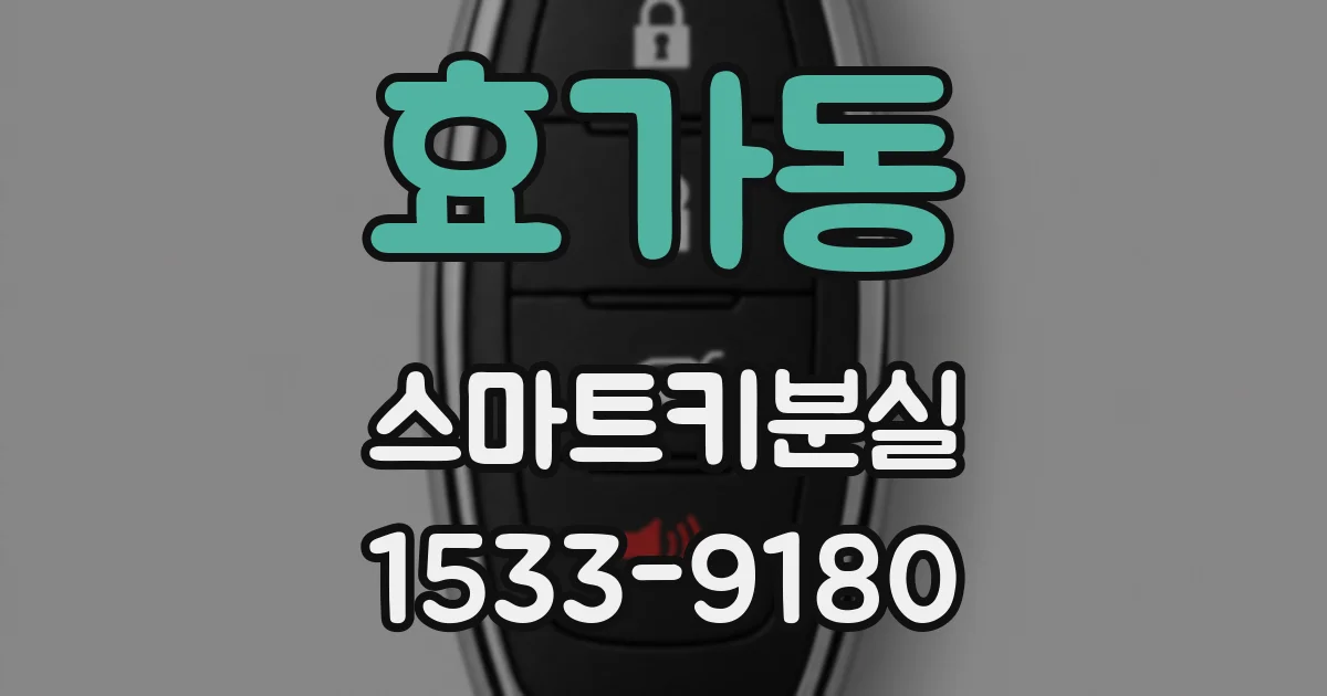 효가동 스마트키분실