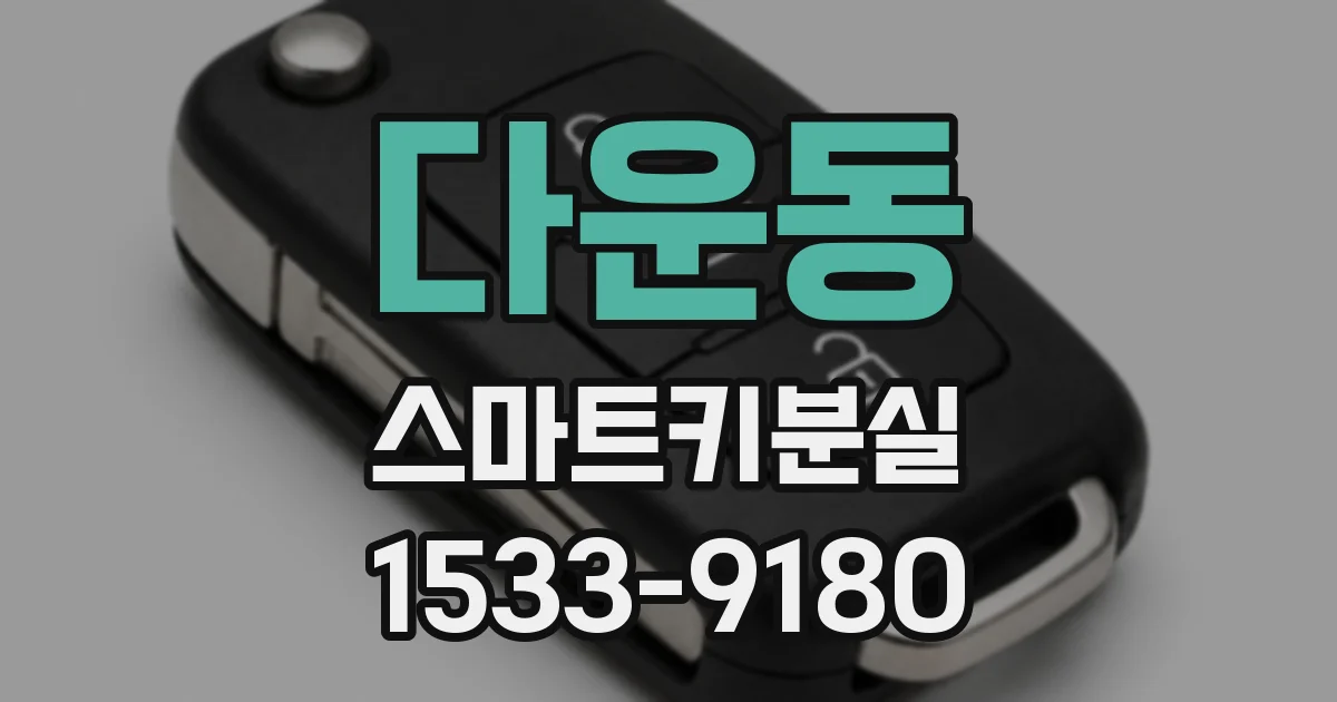 다운동 스마트키분실