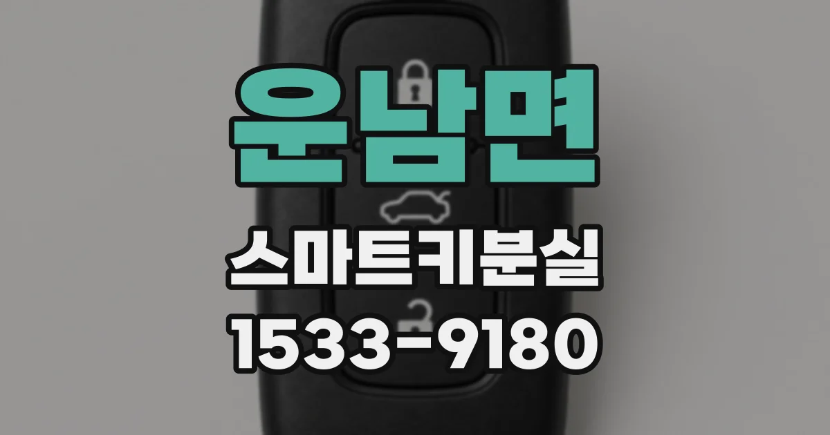 운남면 스마트키분실