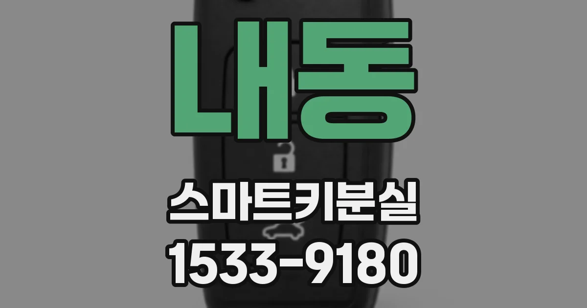 내동 스마트키분실