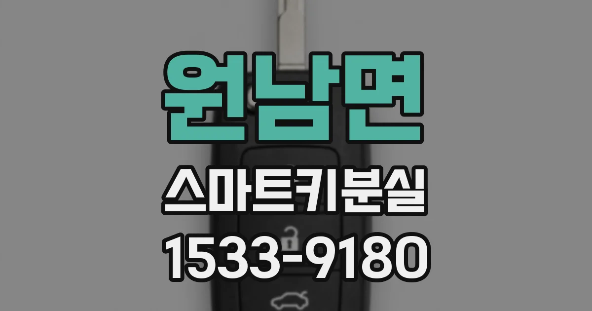 원남면 스마트키분실
