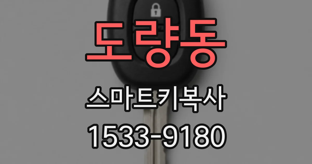 도량동 스마트키복사