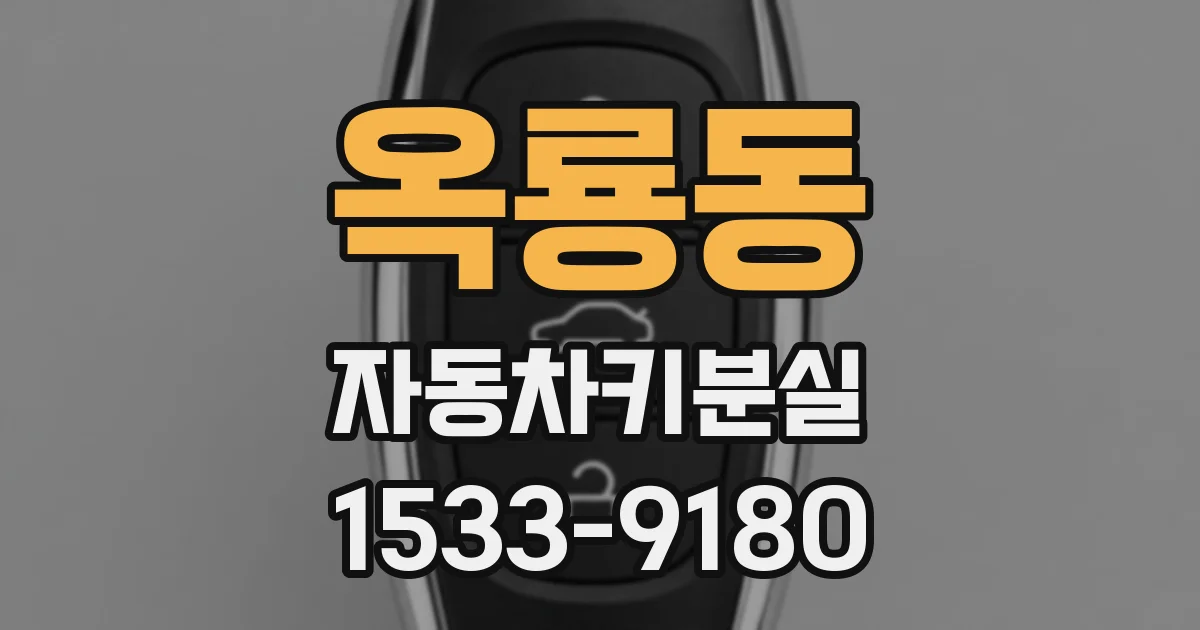 옥룡동 자동차키분실