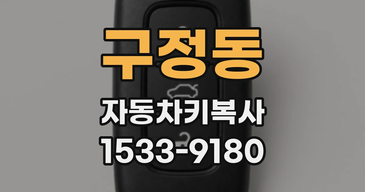 구정동 자동차키복사