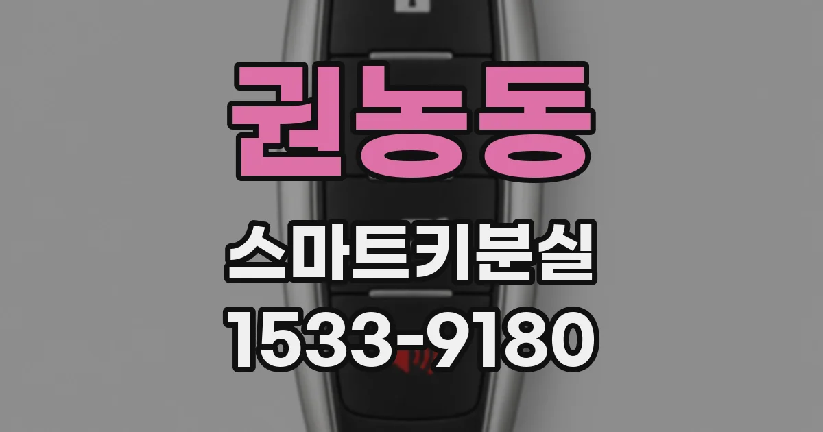 권농동 스마트키분실