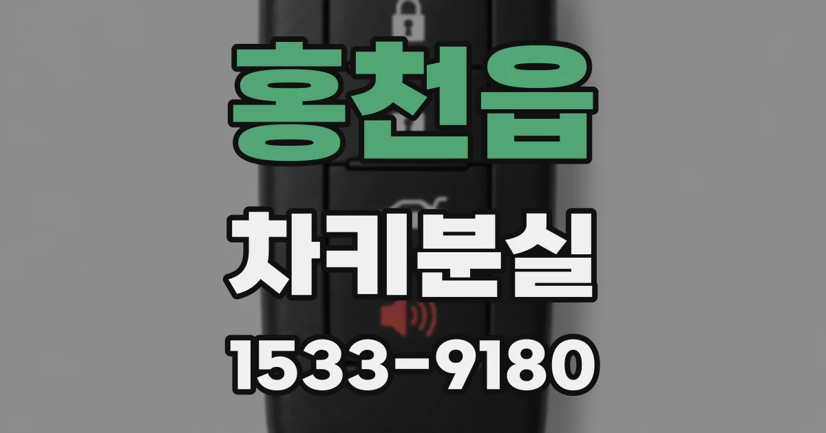 홍천읍 차키분실