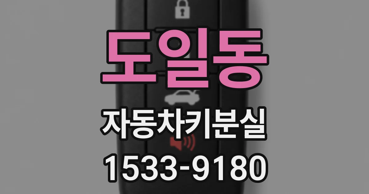 도일동 자동차키분실