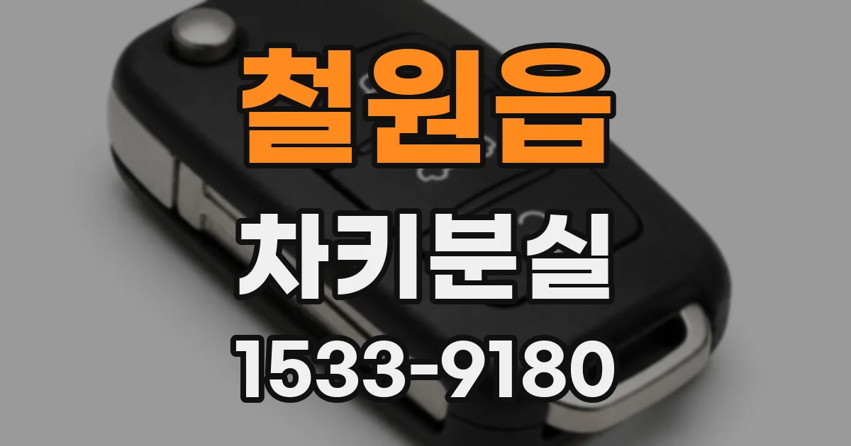 철원읍 차키분실