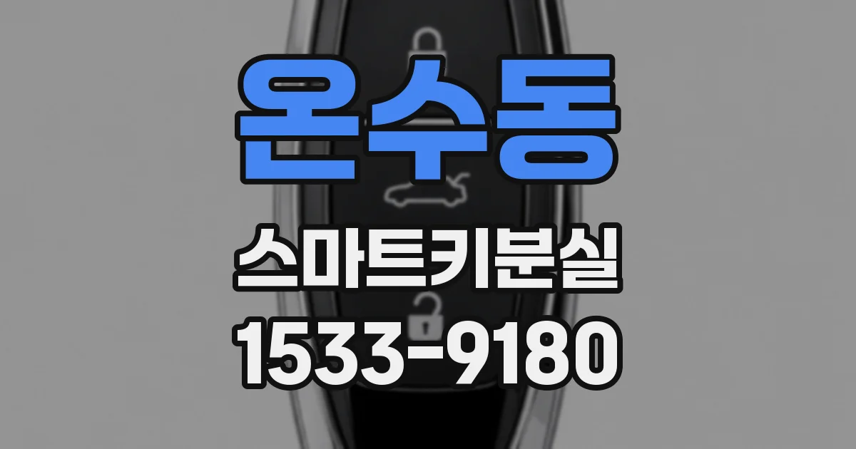 온수동 스마트키분실