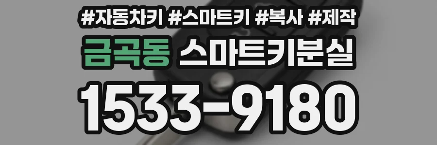 금곡동 스마트키분실