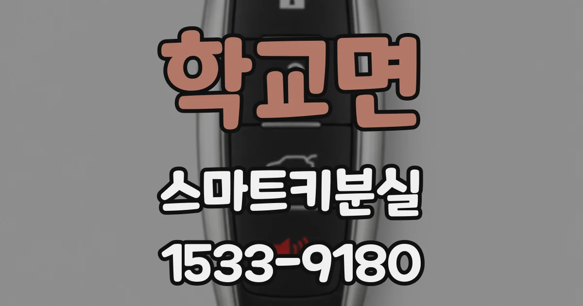 학교면 스마트키분실