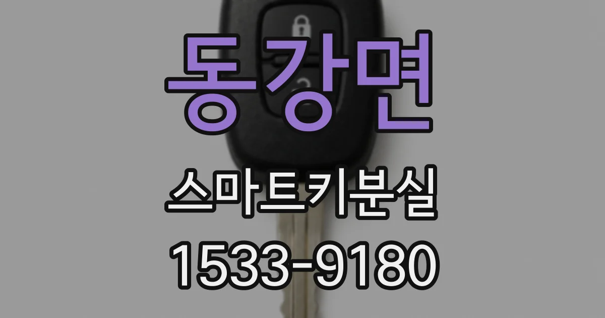 동강면 스마트키분실