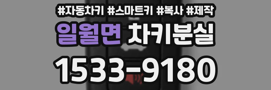 일월면 차키분실