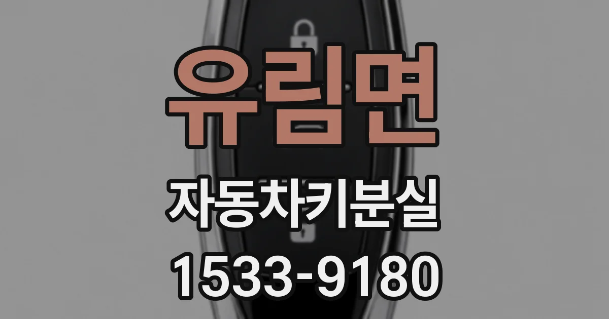 유림면 자동차키분실