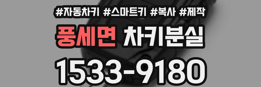 풍세면 차키분실