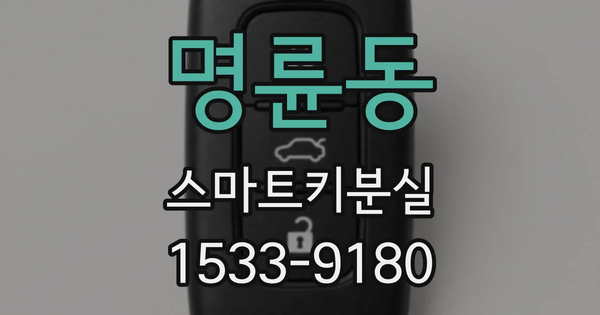 명륜동 스마트키분실