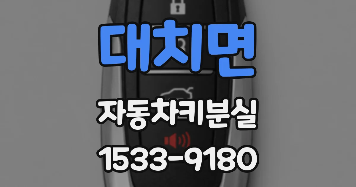 대치면 자동차키분실