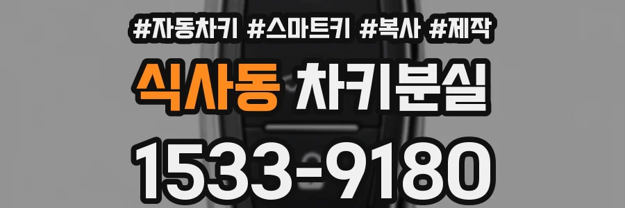 식사동 차키분실