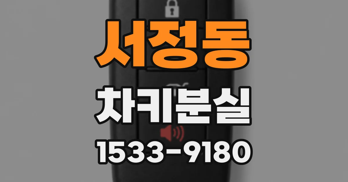 서정동 차키분실