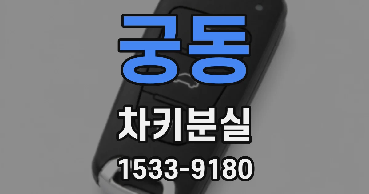 궁동 차키분실