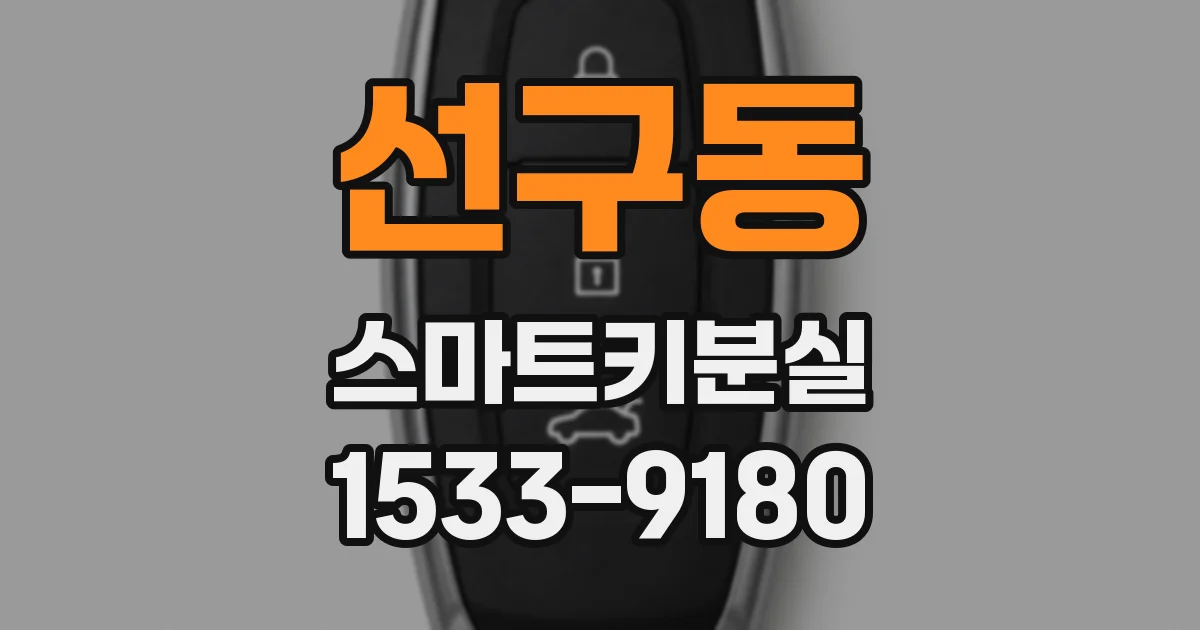 선구동 스마트키분실