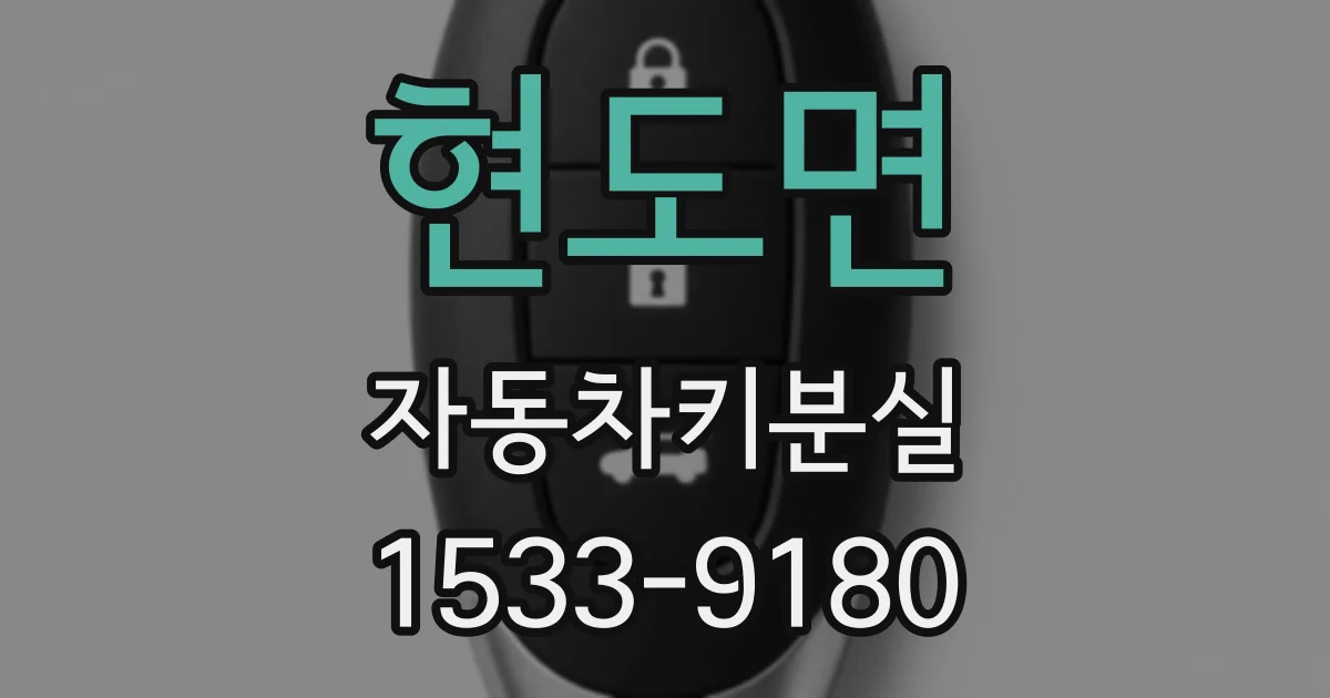 현도면 자동차키분실