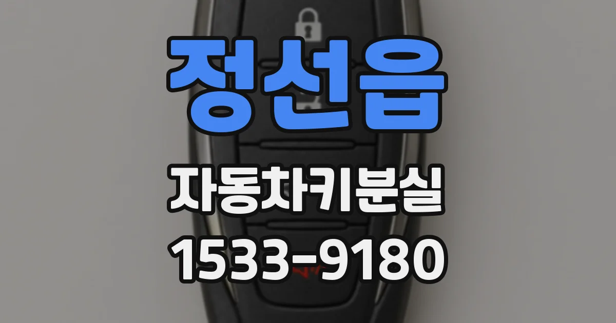 정선읍 자동차키분실
