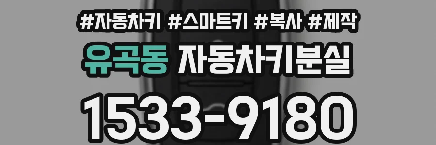 유곡동 자동차키분실