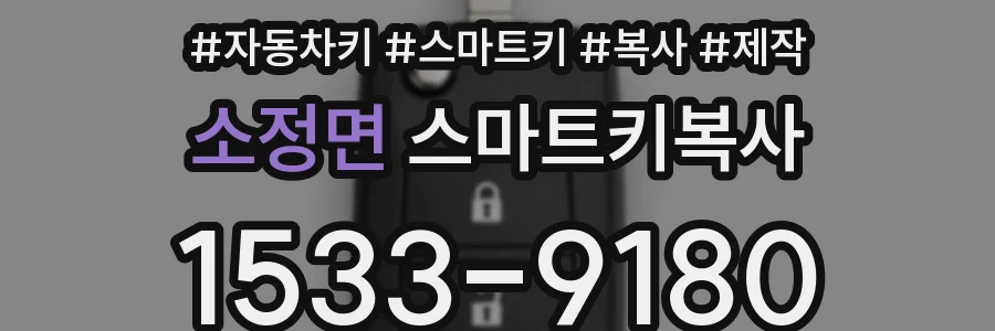 소정면 스마트키복사