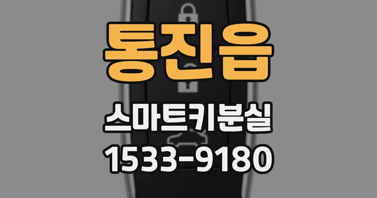 통진읍 스마트키분실