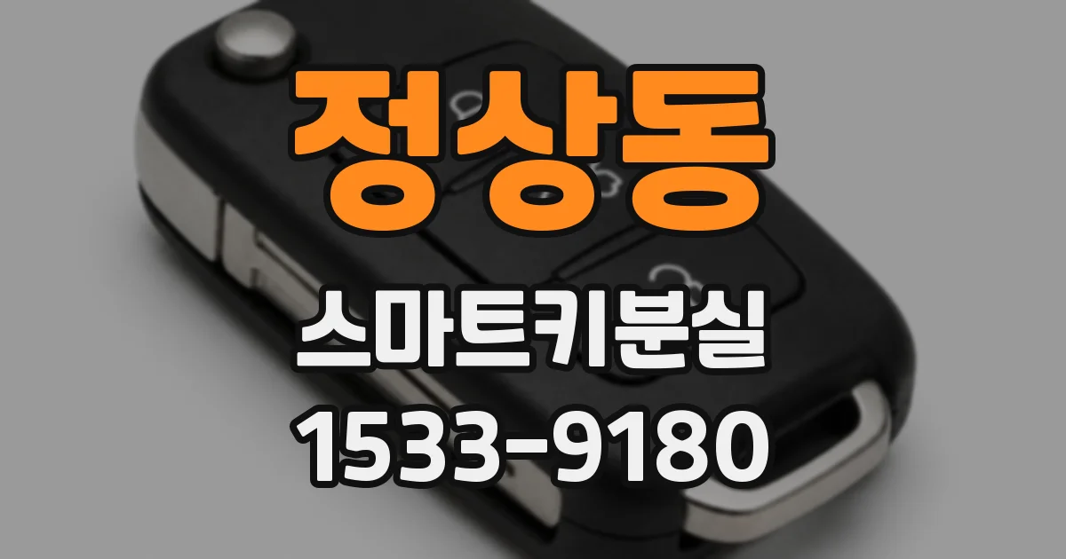 정상동 스마트키분실