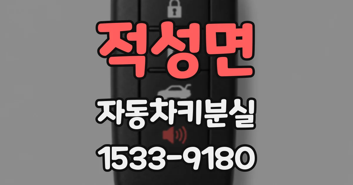 적성면 자동차키분실