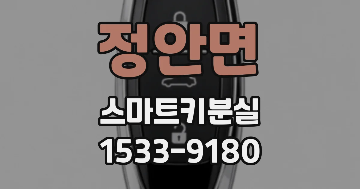 정안면 스마트키분실