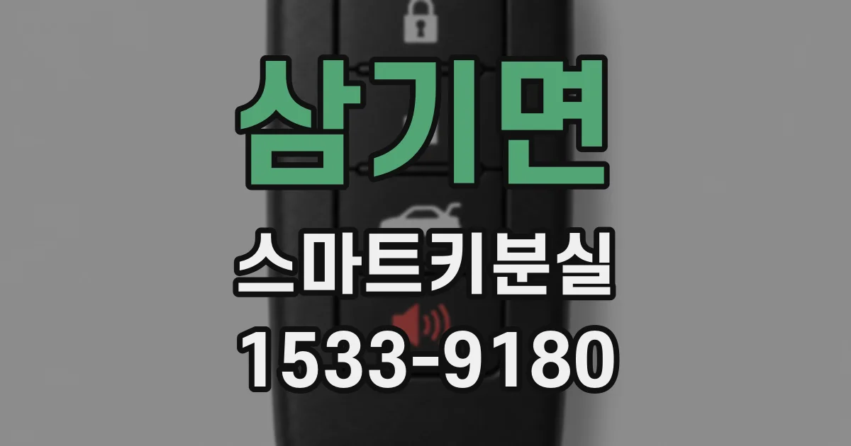 삼기면 스마트키분실
