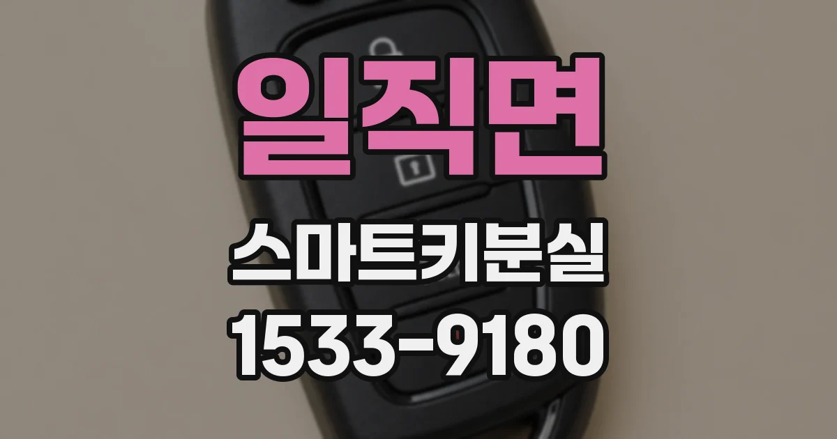 일직면 스마트키분실