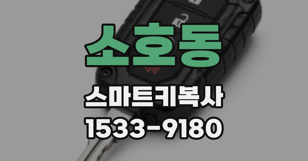 소호동 스마트키복사