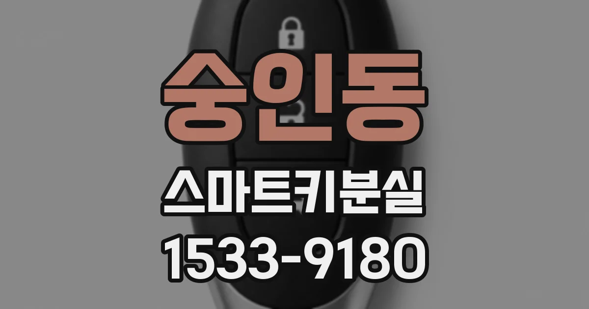 숭인동 스마트키분실