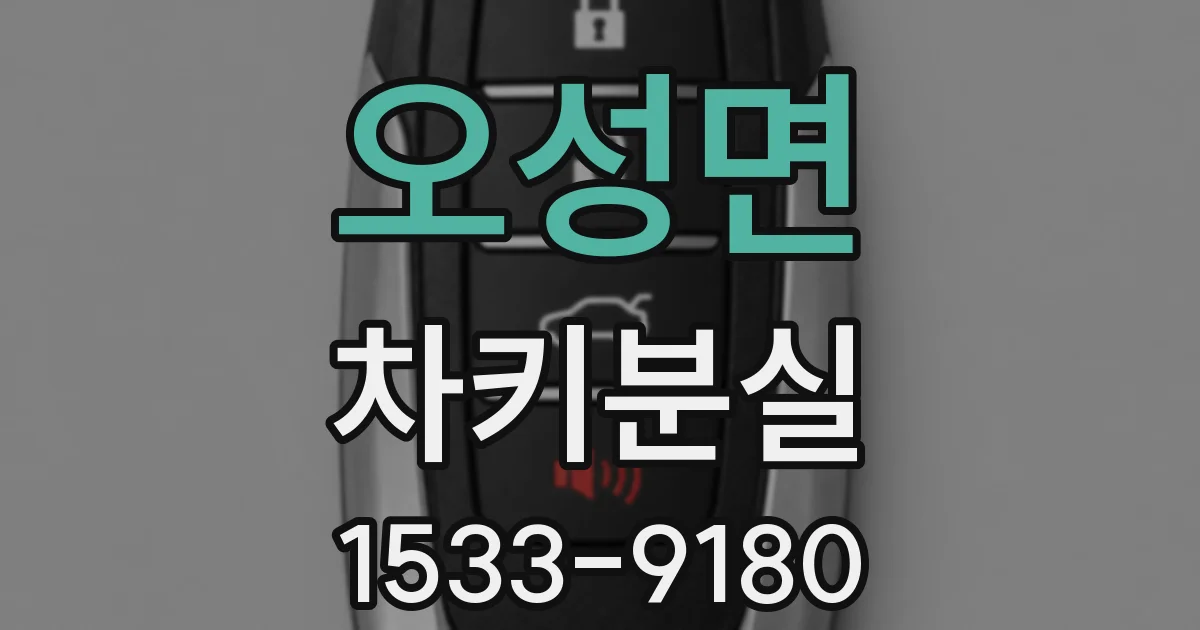 오성면 차키분실