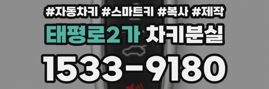 태평로2가 차키분실