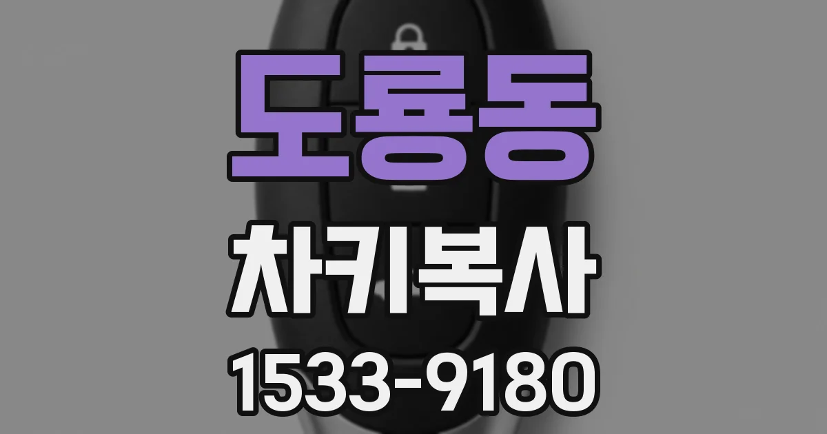 도룡동 차키복사