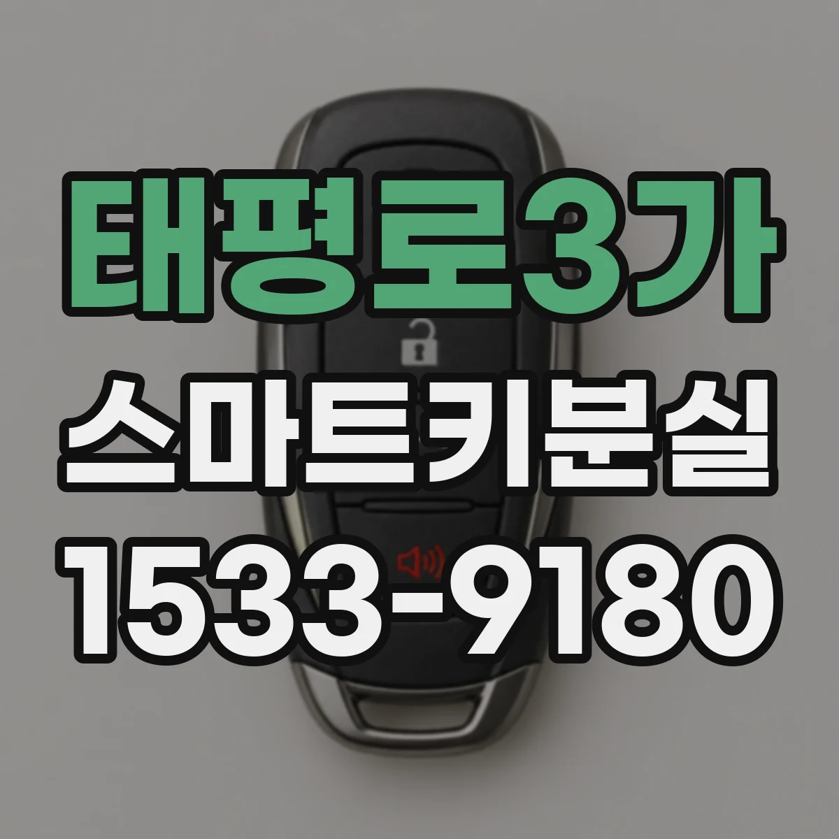 태평로3가 스마트키분실