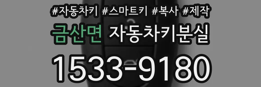 금산면 자동차키분실