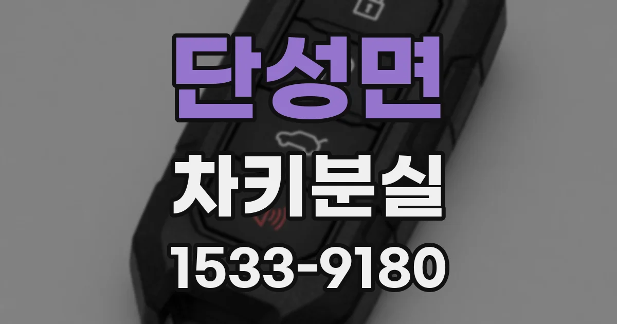 단성면 차키분실