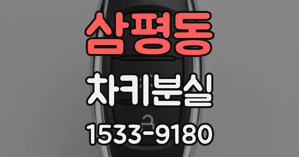 삼평동 차키분실