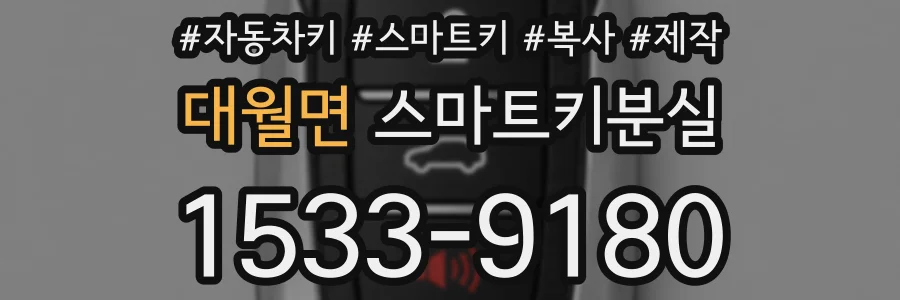 대월면 스마트키분실