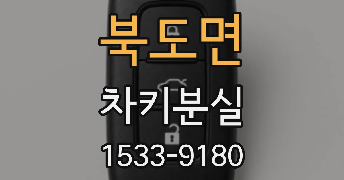 북도면 차키분실
