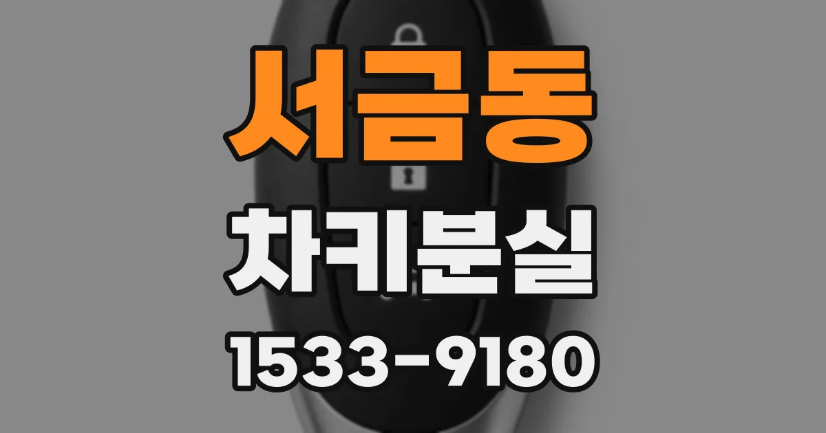 서금동 차키분실
