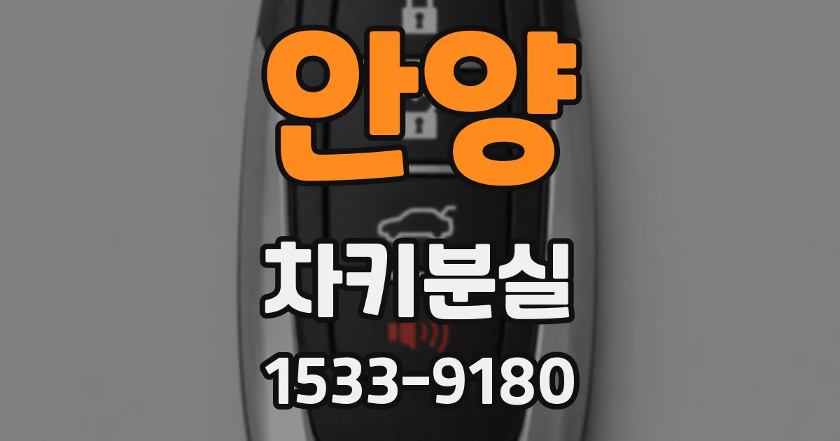 안양 차키분실