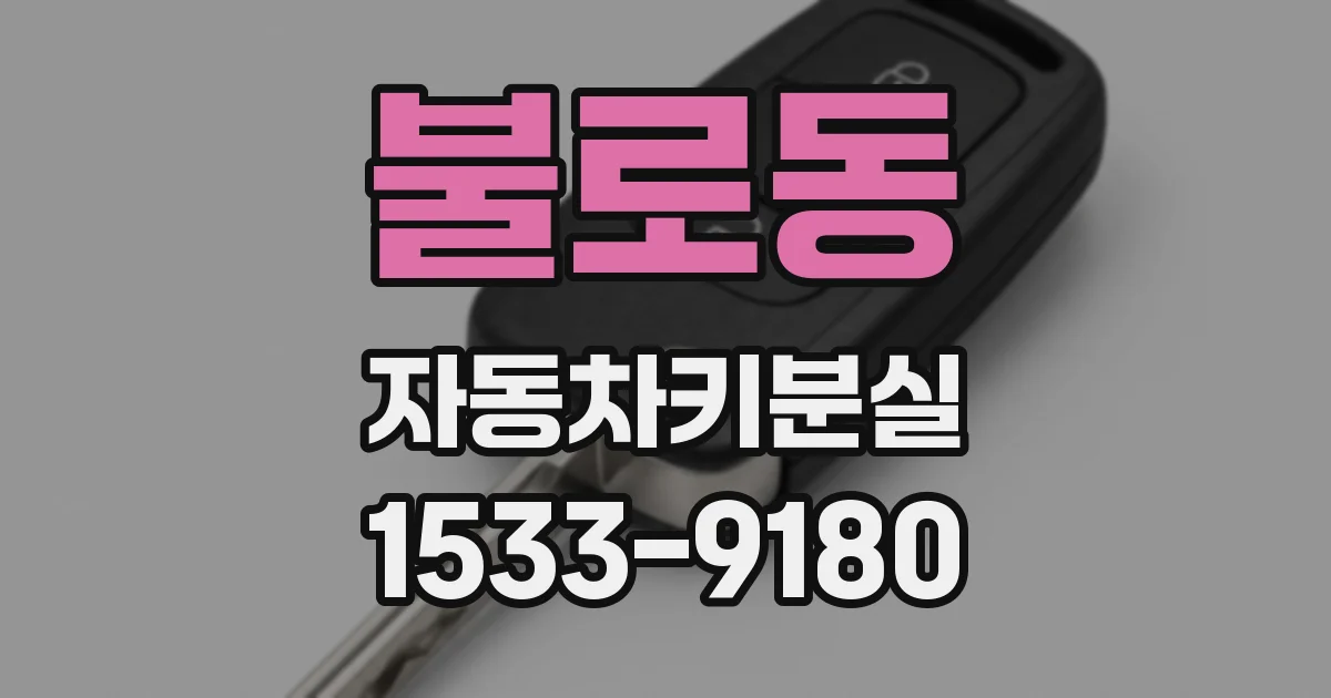 불로동 자동차키분실
