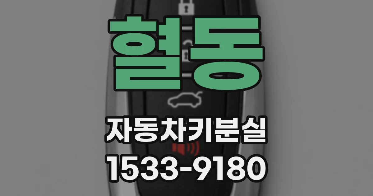 혈동 자동차키분실